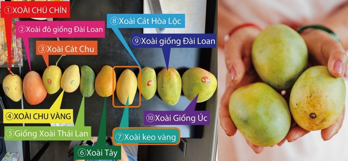 ドライマンゴーに最適なケオマンゴーを使用