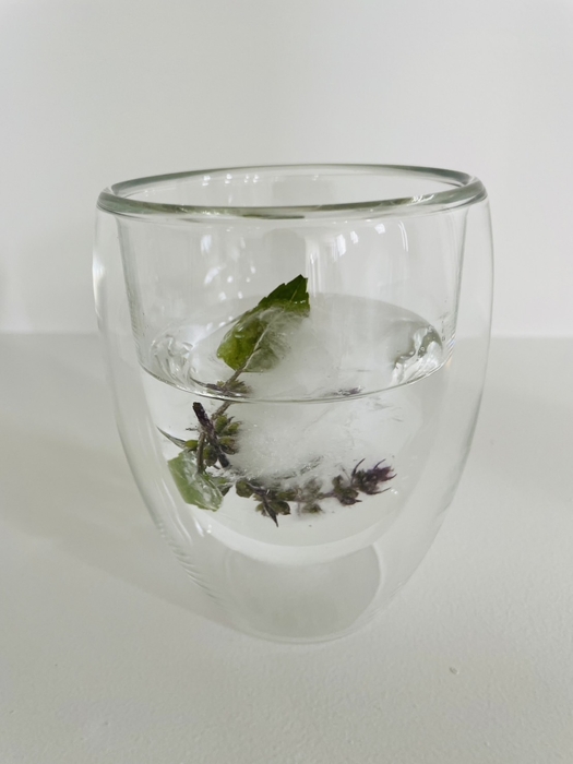 アイスホーリーバジルコーディアル