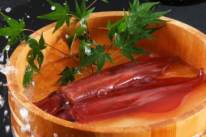 甘くコリコリの食感がクセになる新鮮な活イカをおふたり様で1杯 ※一例