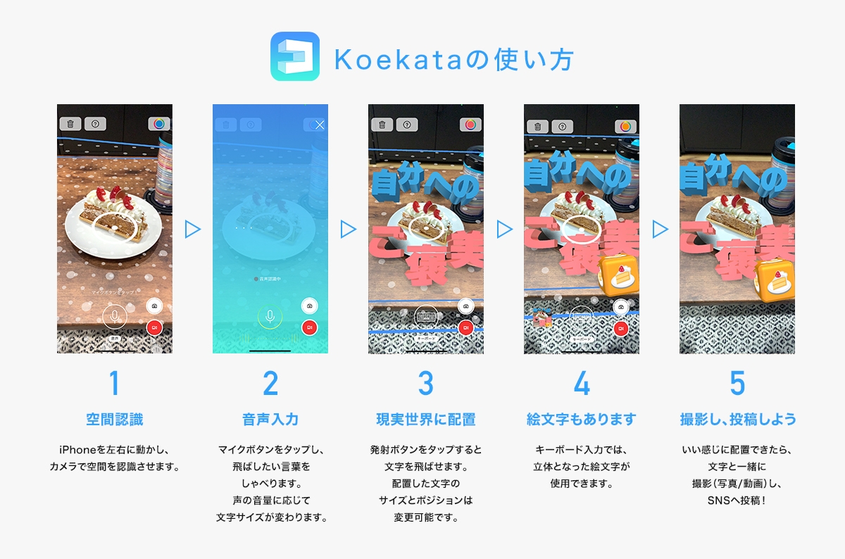 Koekataの使い方