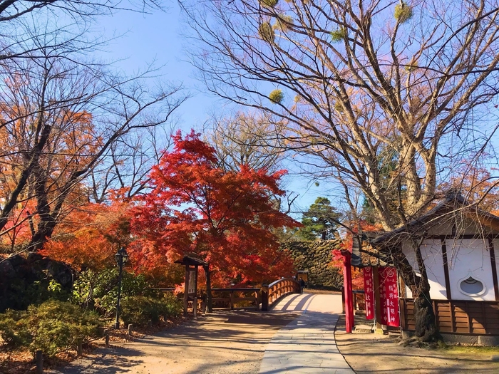 小諸城址懐古園 黒門橋と紅葉谷