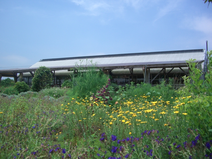 「九十九里ハーブガーデン」