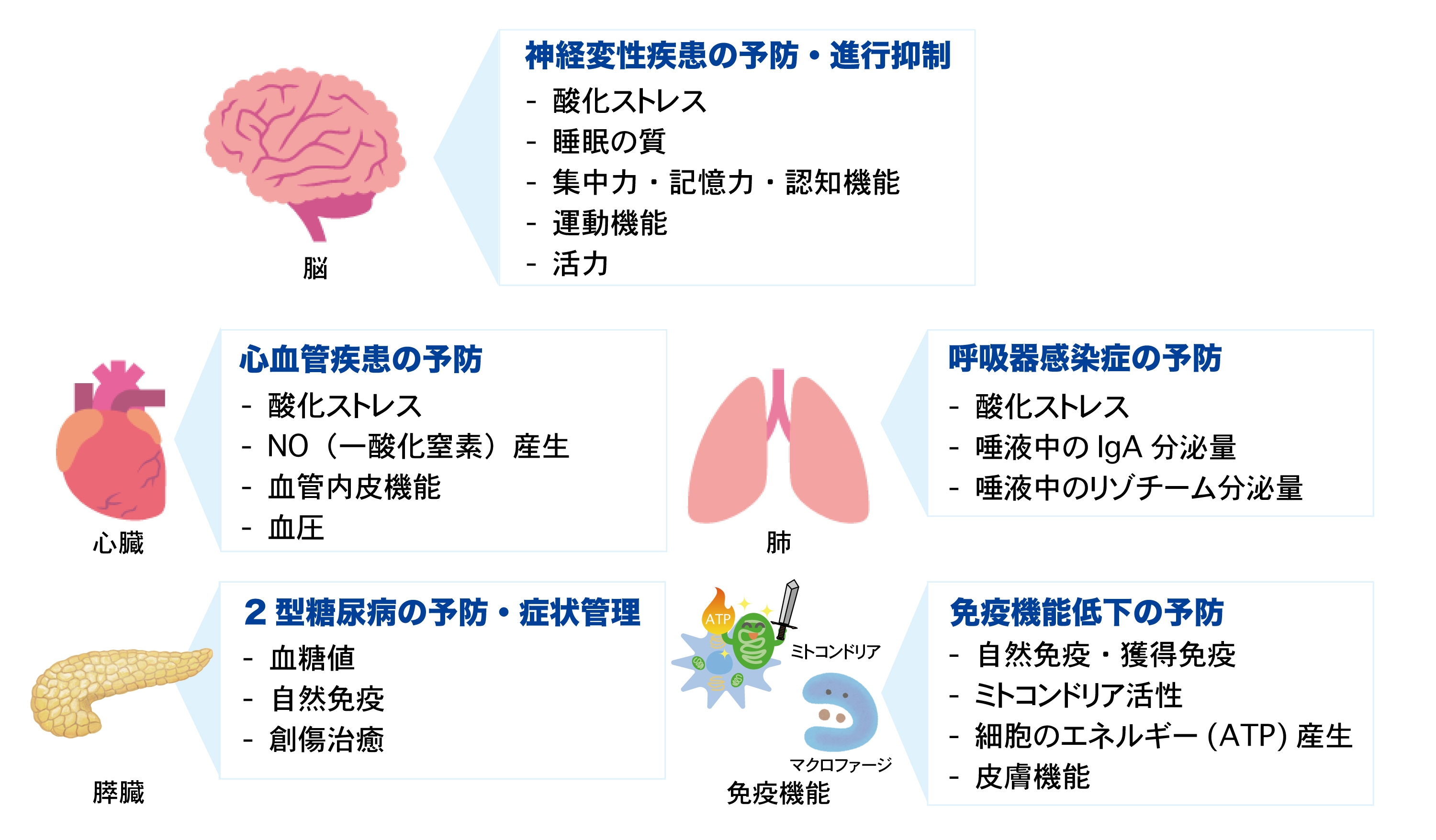 FPPによるヒトでの抗炎症および改善効果
