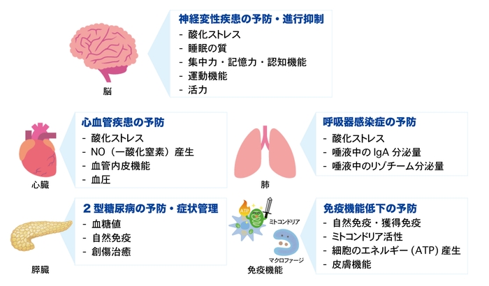 FPPによるヒトでの抗炎症および改善効果
