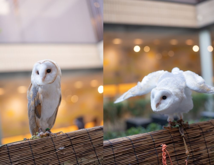 生後9ヶ月(左)と生後3ヶ月(右)