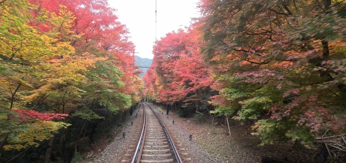 2025年11月13日撮影