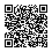 花火べあ~君二次元コード