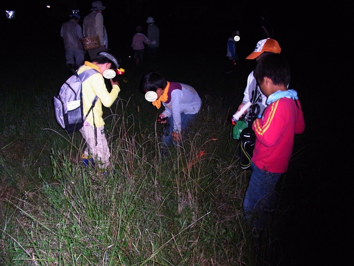 ライトが頼りです。見つかるかな?