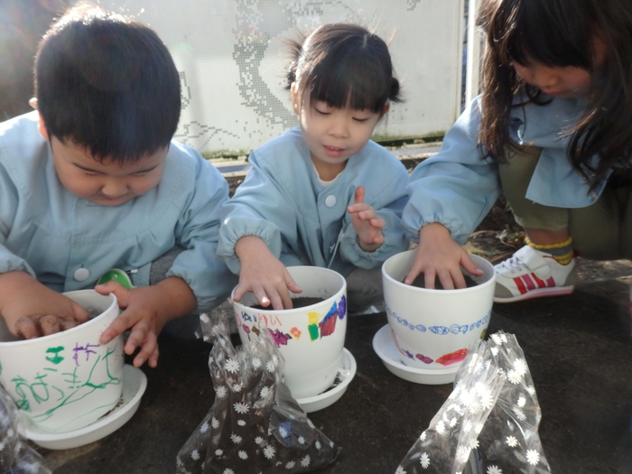 楽しそうにチューリップの植付けをする園児たち