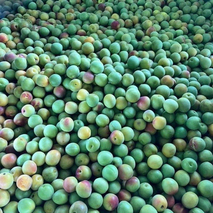 ころんと小ぶりな「紅映」