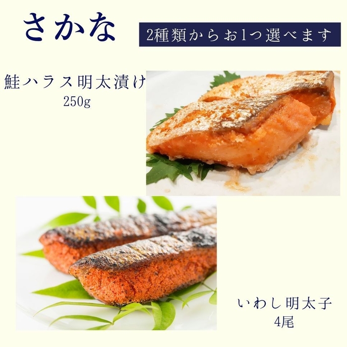 選べるギフトお魚(1)