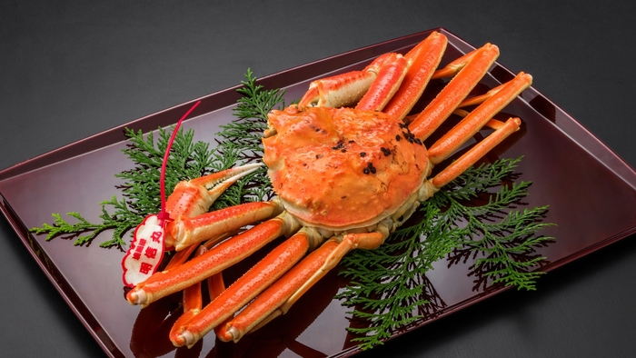 山陰松葉蟹［一例］お一人様に半身　※タグ色は仕入れ漁港により異なります