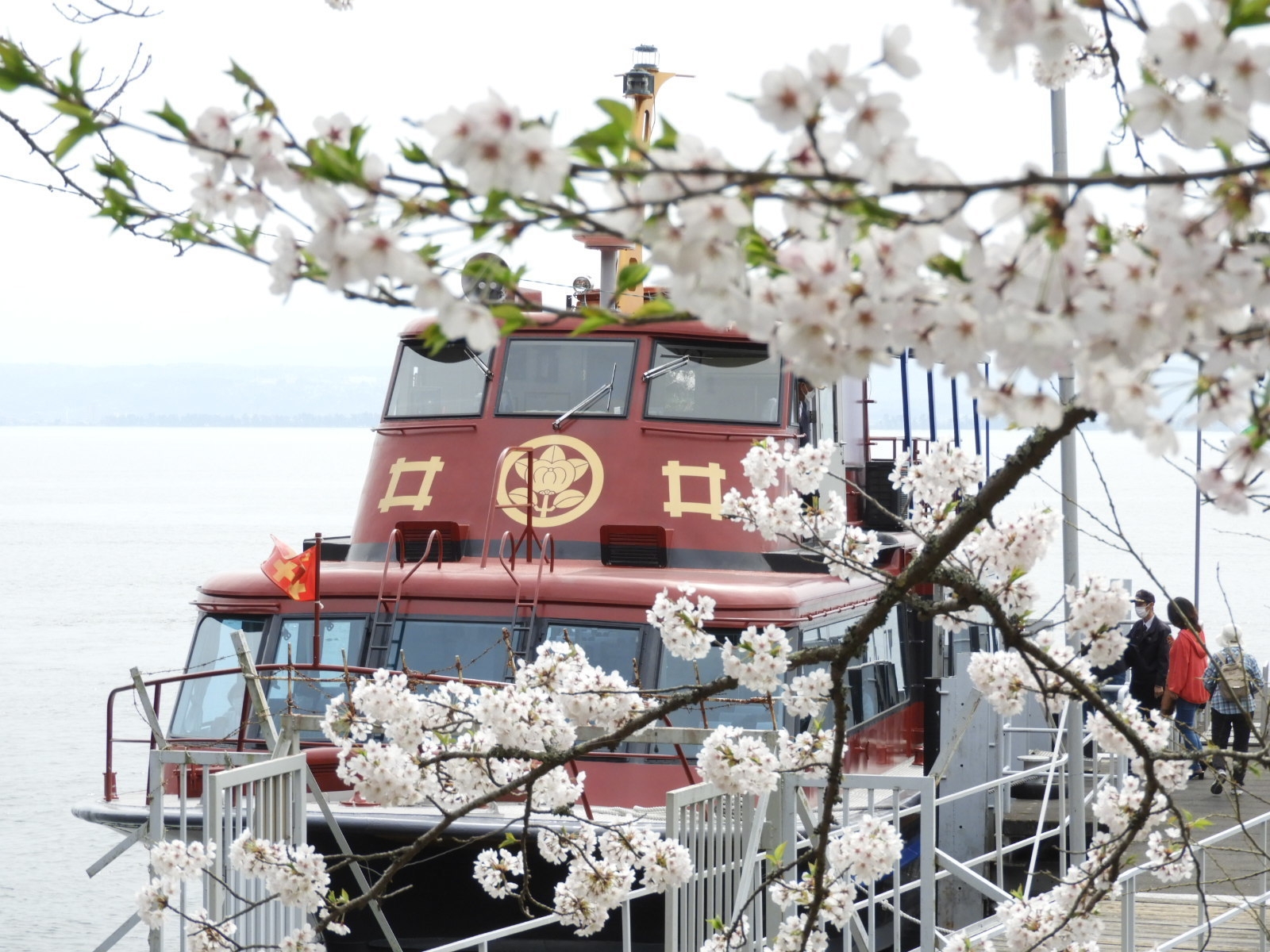 海津大崎桟橋にて