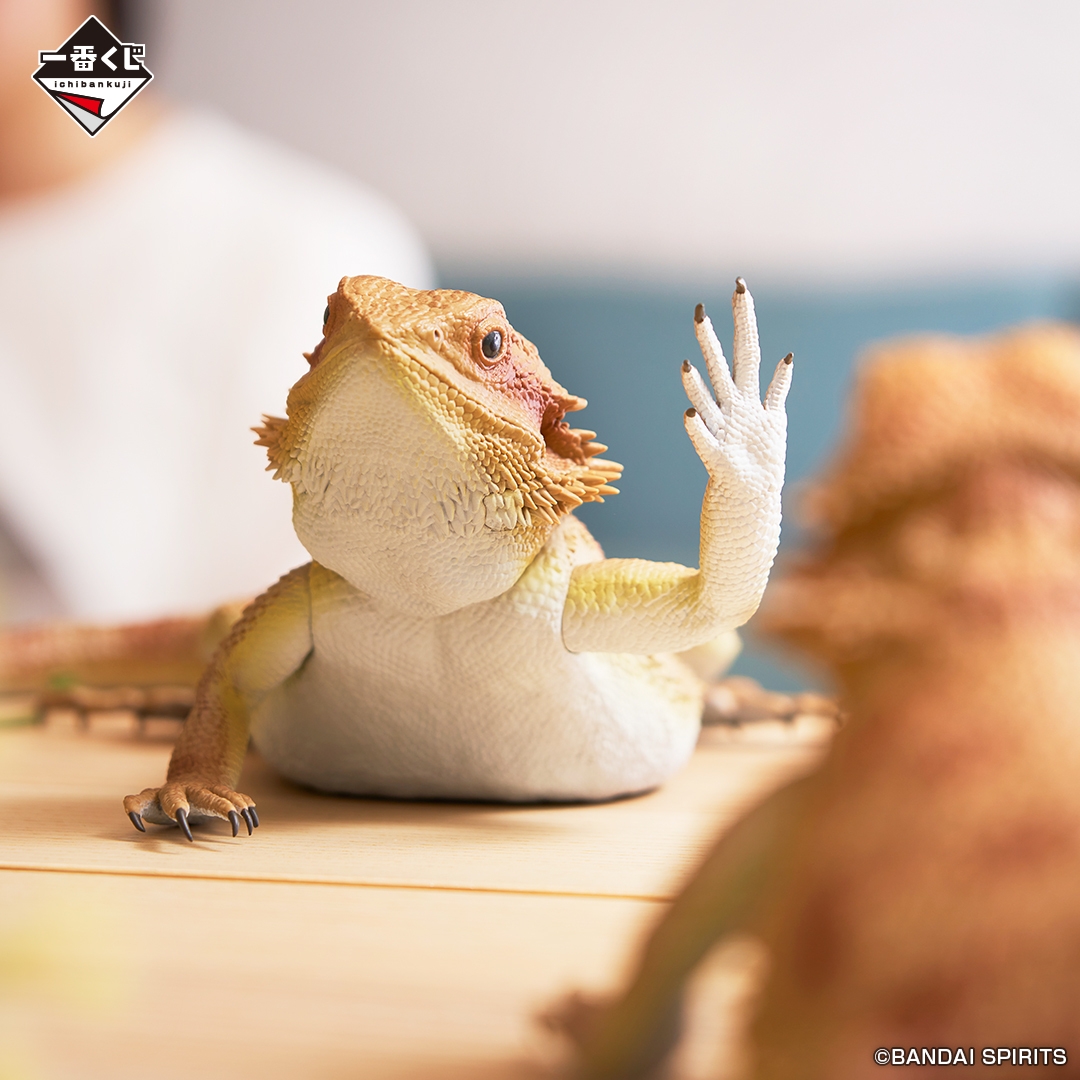 ラストワン賞:フトアゴヒゲトカゲ フィギュア アームウェービングver.(イメージ2)