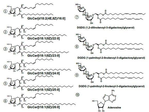 図1.ストロベリーグアバエキスの含有成分