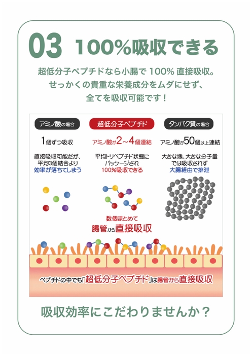 超低分子ペプチド3(100%吸収)