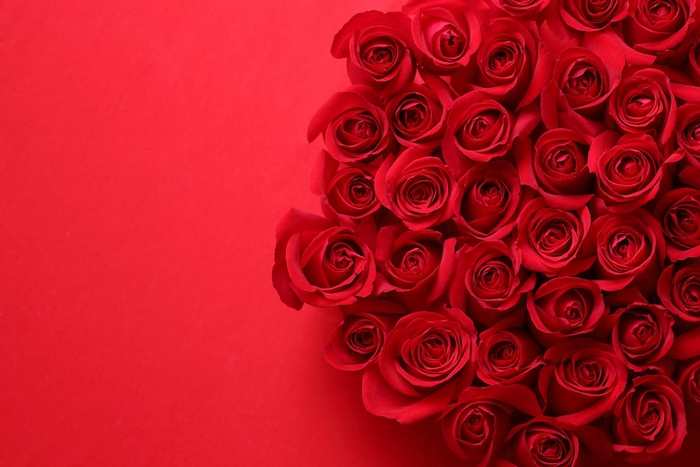 108本のバラで永遠(とわ)の愛を誓う素敵なプロポーズを!