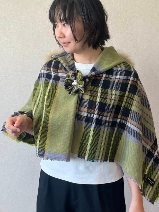 着る (グリーン)