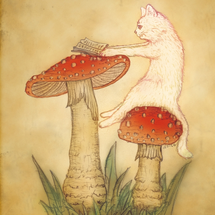 13.CATS.WORKS /YO-CO