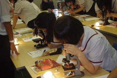 近畿大学水産研究所×近畿大学附属新宮高等学校　高校生が近大マグロのふ化を観察