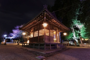 【滋賀・立志神社】“日常にある特別な空間”　 境内ライトアップと限定御朱印で迎える2026年