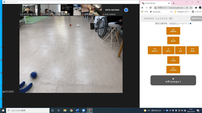 オンラインボッチャ操作画面の様子