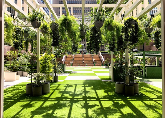 ヒビコクテラス