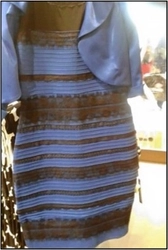 錯視の個人差の要因をDNN（人工知能の基となる計算モデル）を使って解明　－#TheDress画像の場合－