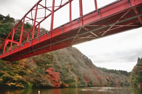 真っ赤な橋の下をクルーズ船が疾走します!