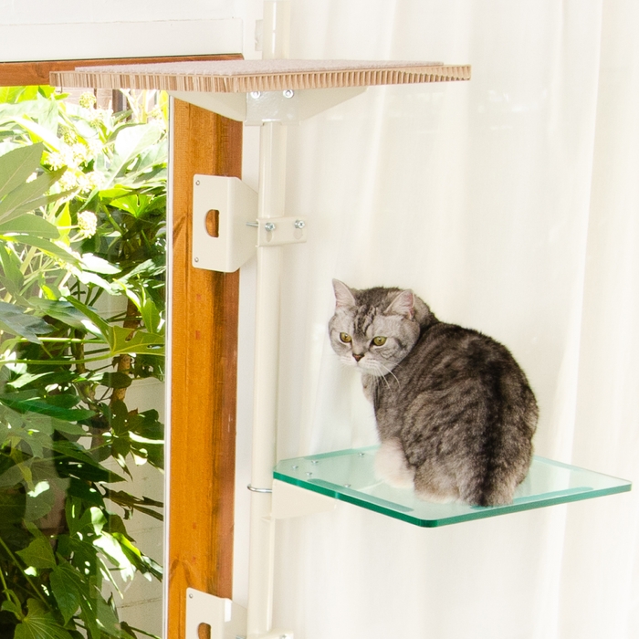 肉球を思う存分堪能!