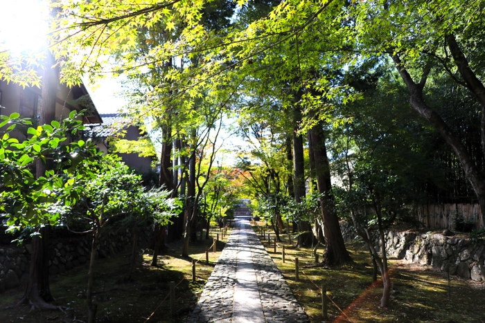 参道 (2023/10/23撮影)