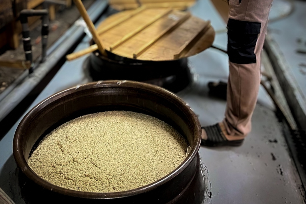 もろみが見学できるかも?