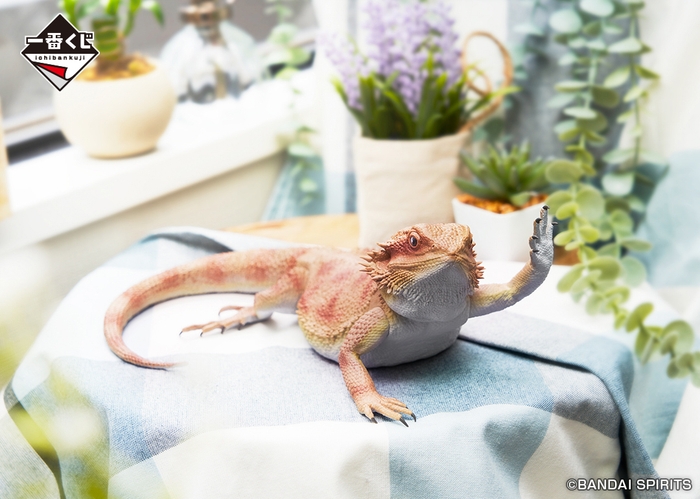 ラストワン賞:フトアゴヒゲトカゲ フィギュア アームウェービングver.(イメージ)