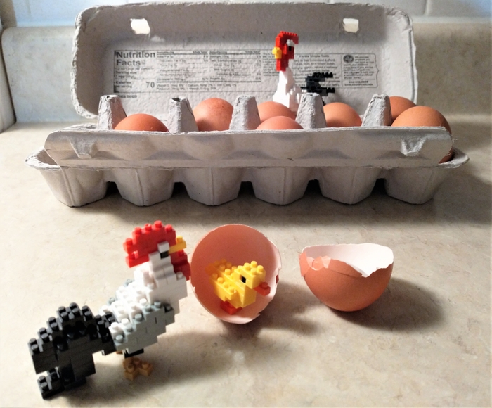 【Photo グランプリ】Chicken or the Egg?