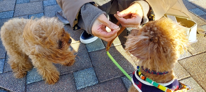 お友達と一緒に