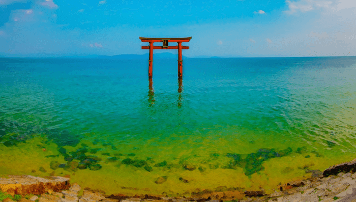白鬚神社|湖中大鳥居