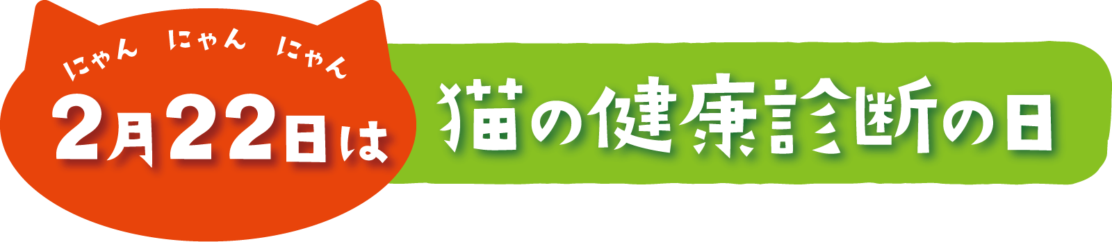 2月22日は猫の健康診断の日