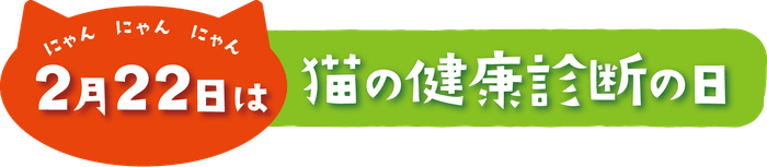 2月22日は猫の健康診断の日