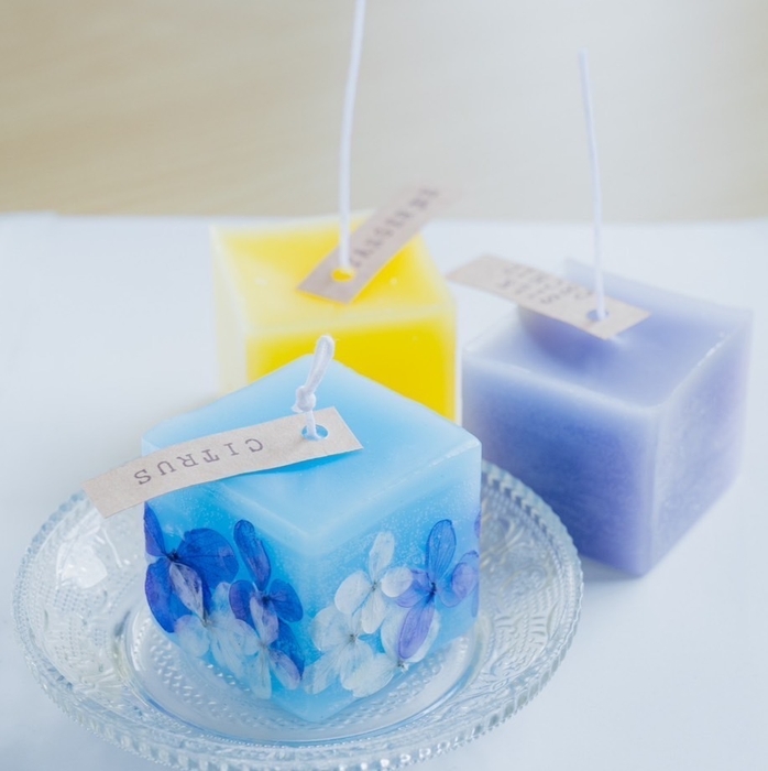 佐田岬半島 自然の恵みを満喫旅 1