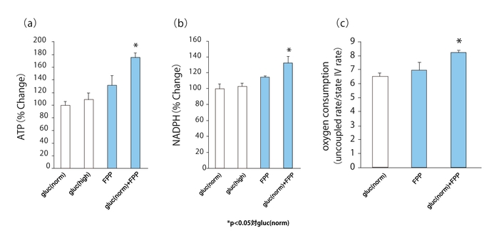 図3. FPPによる単球の変化:(a)細胞内エネルギー(ATP)産生の向上 (b)NADPHオキシダーゼの活性化 (c)ミトコンドリアの活性化