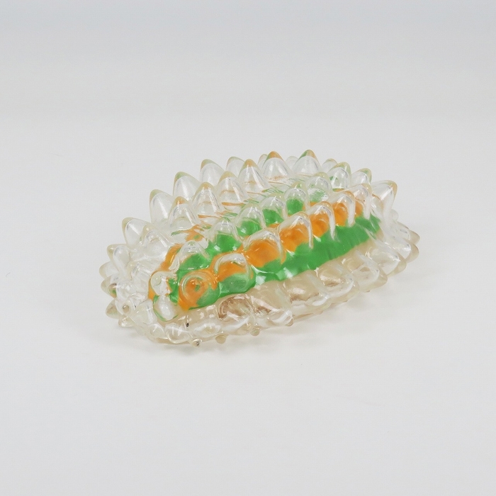〈DIGBUG ジュエルキャタピラー_1〉