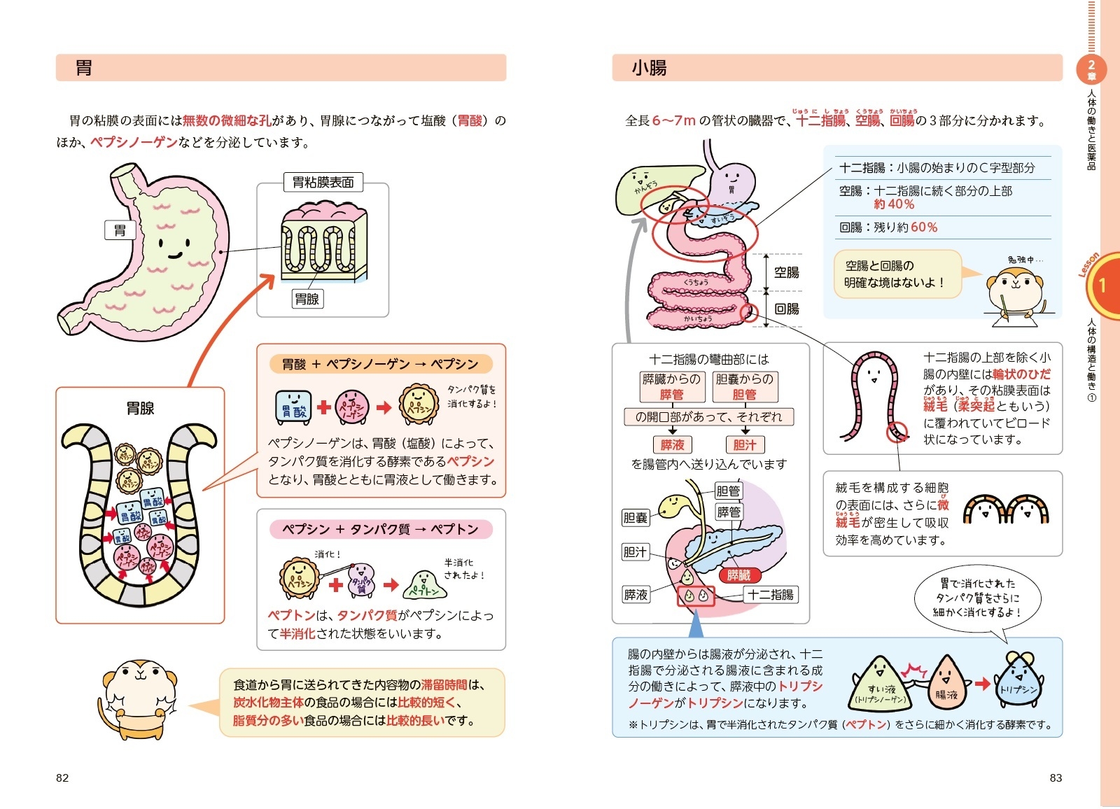 イメージで攻略 わかる!受かる!!登録販売者 テキスト&問題集 サンプル画像02