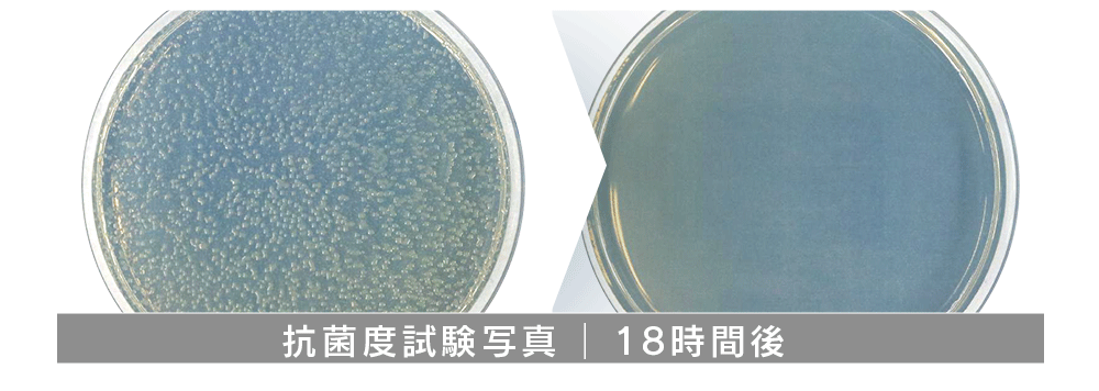 抗菌度試験