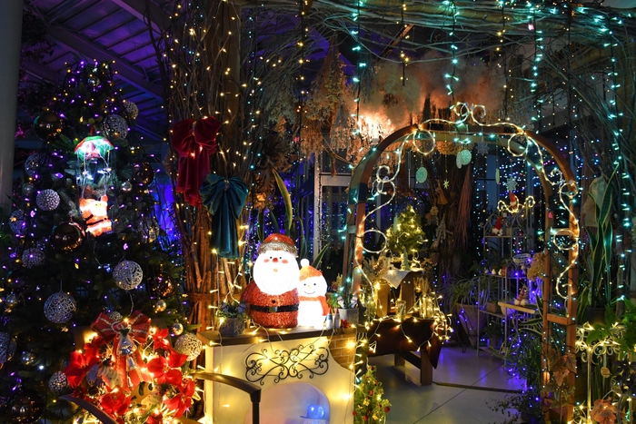 イルミネーションの様子4