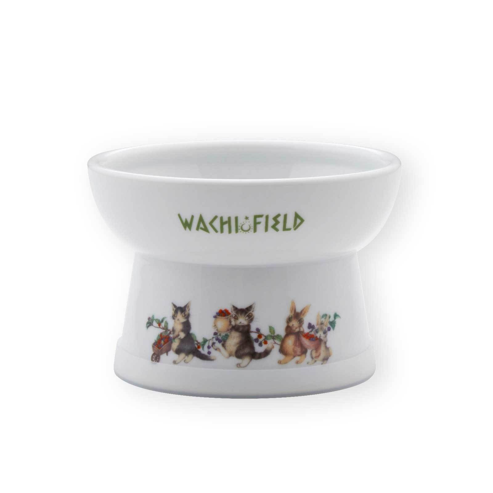 猫用 脚付フードボウル レギュラー ダヤン ベリーベリーサンクス6