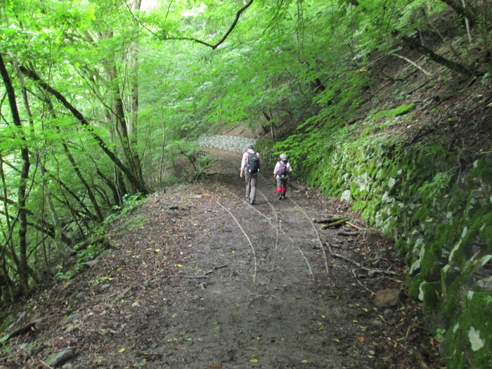 入川渓谷イメージ1