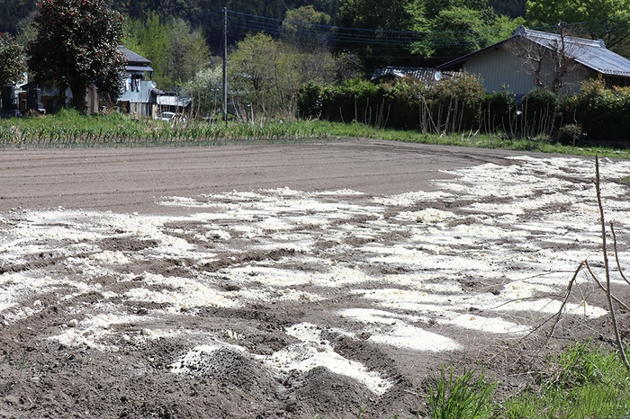 おからの再利用