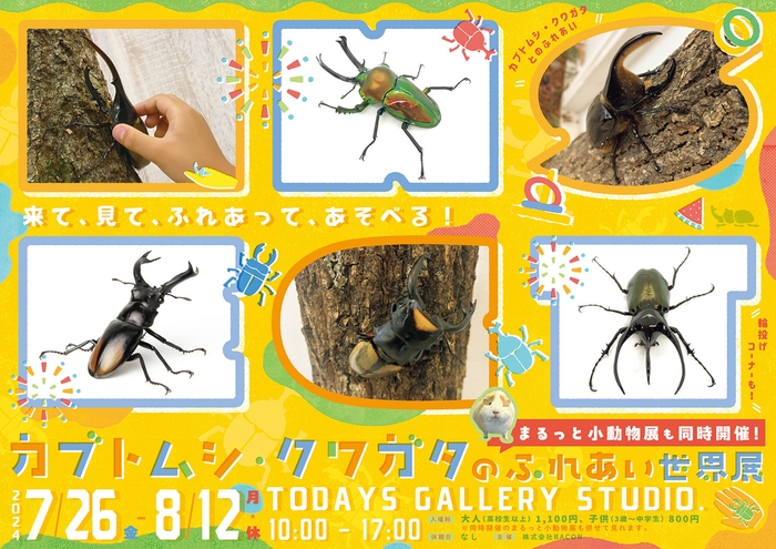 カブトムシ・クワガタのふれあい世界展 2024 キービジュアル(横)