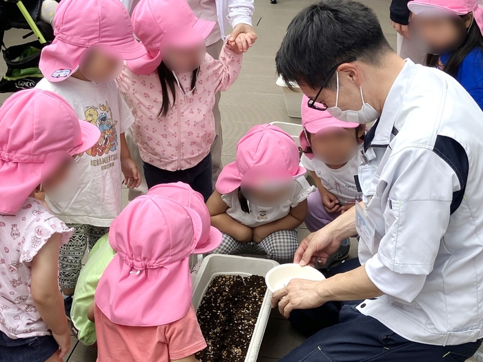 みんなで育てるひまわりの種をまきました