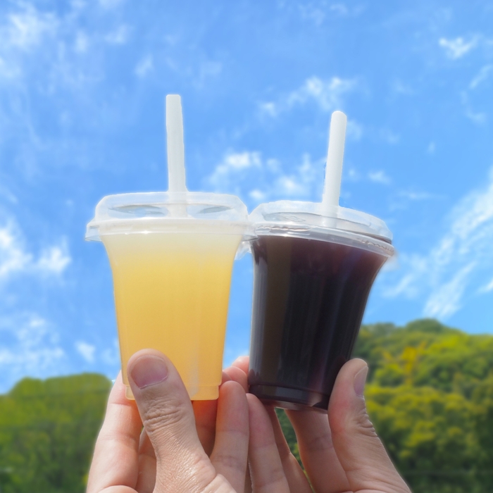 夏の健康お守り 乳酸菌入りクデュウー